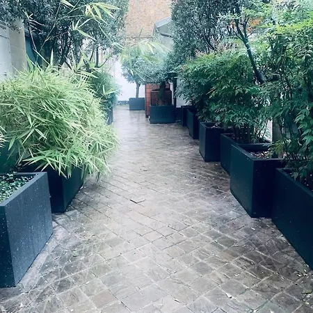 Appartement Maison Sur Cour Calme Et Arboree